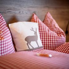 Angerer_Alm_Berglehen_53_St_Johann_08_2026_Zimmer_