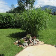 Terrasse mit Garten