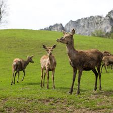 Urlaub am Bauernhof in St. Johann in Tirol