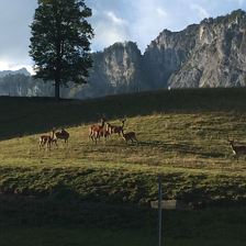 Urlaub am Bauernhof St. Johann in Tirol