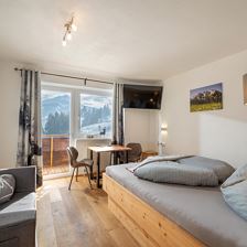 Berghof Haselsberger mit Bergblick