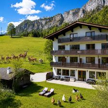 Haus und tiere-KI sommer
