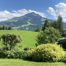 Blick zum Kitzbüheler Horn