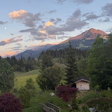 IMG_0439