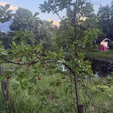 IMG_4022