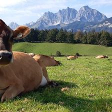 Kernerbauer St. Johann in Tirol