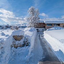 Narzenhof im Winter