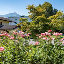 Pension_Obermoser_Bruggbaeckweg_7_St_Johann_08_202