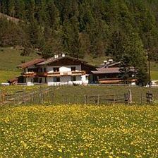 Ferienwohnung Atzl