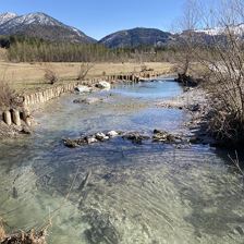 Der Frühling will kommen