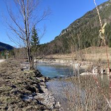Langsam kommt der Frühling