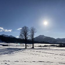 Letzte Winterstimmungen 1