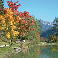 Pillersee Herbst