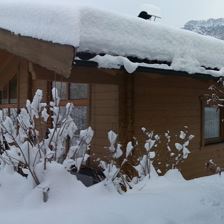 Chalet Terry