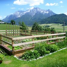 Garten