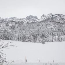 -®defrancesco_photography 8