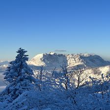 Blick zum Wilden Kaiser