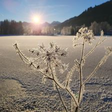 Winterlandschaft