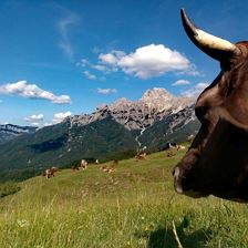 Blick zu den Steinbergen