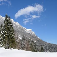 Haus Adler