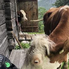 Unser Lieblingsplatz