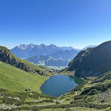 Wildseeloder Fieberbunn