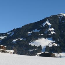 Blick auf Haus und Choralpe