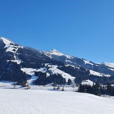 Blick vom Haus