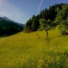 Landschaft vor dem Haus