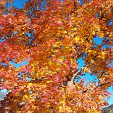 Herbst Impressionen