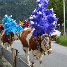 Haus-Jaworek-Wörgl-Almabtrieb