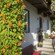 Haus-Jaworek-Wörgl-Haus-Sommer