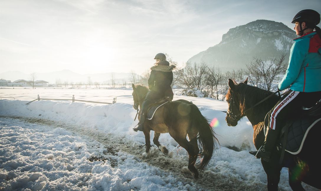 Furtherwirt Kirchdorf in Tirol 5