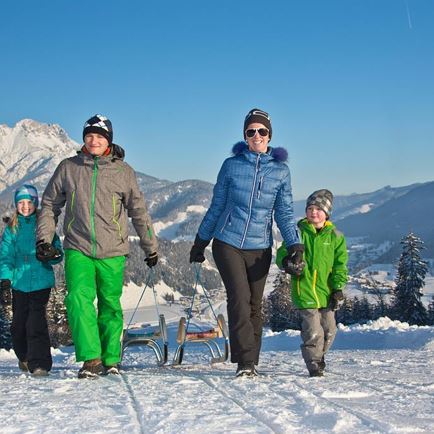 Toboggan run Hoametzl