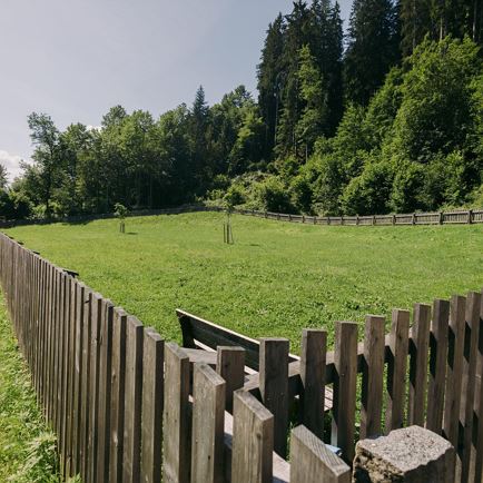 Hundeplatzl