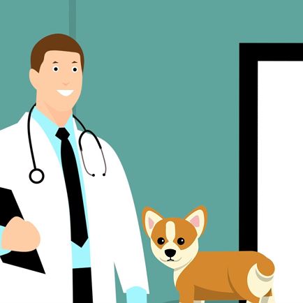 Tierarztpraxis Salvet