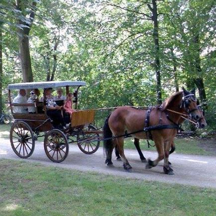 Horse-drawn sledge ride 'Hochkogler'