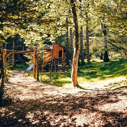 Forest playground Hilscherpark