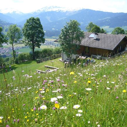 Alpenschule Westendorf, Pedagogical farm