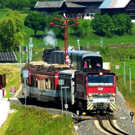 Pinzgauer train