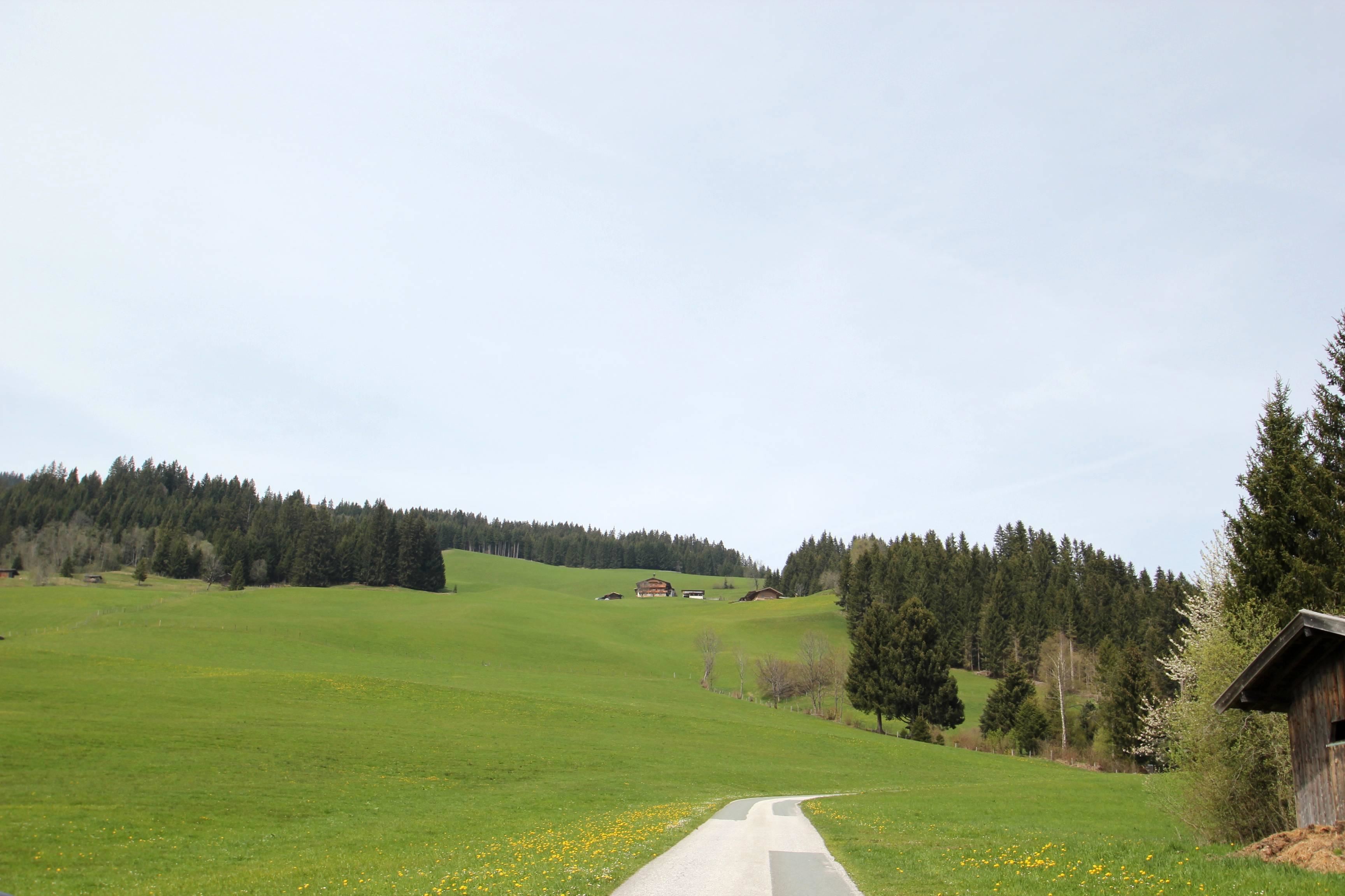 Flecklhof fuchs johanna und josef hopfgarten