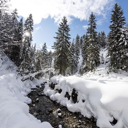 Prunkvolle Winterlandschaft 'Bichlach'