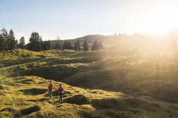 Qi Gong Tageswanderung auf den Niederkaiser