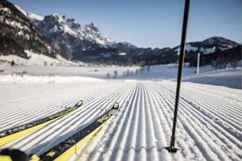 Loipenticket - 1 Tag MIT Gästekarte