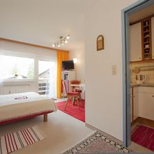 Apartment, shower, toilet, living room/bedroom