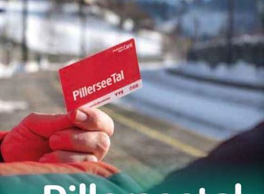 guest card flyer winter