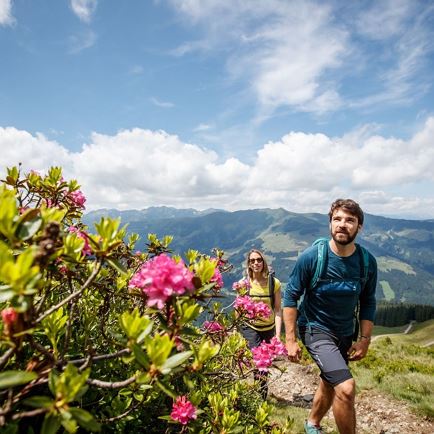 KAT Walk Alpine stage 2: Listening to stories - On a path to the Alpine writer