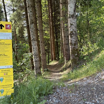 2027 | Mocking Downhill Trail