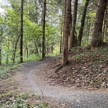 2029 | Schattberg Trail