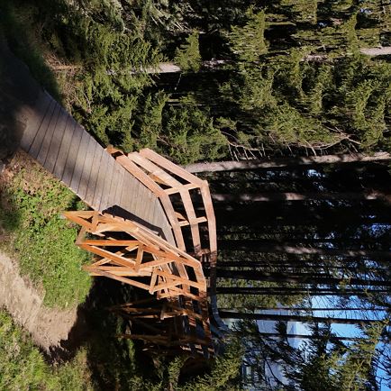 2036 | Kirchberg Trail